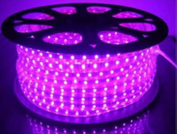 Gambar Lampu led strip selang 5050 220v AC ungu 100 meter 100m pink magenta dari Indo Led Lighting Kota Administrasi Jakarta Barat 1 Tokopedia
