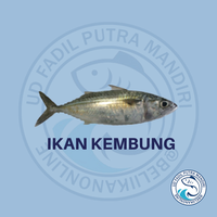 Gambar IKAN KEMBUNG GEPENG dari Beliikanonline Kota Bekasi 1 Tokopedia