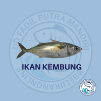 Gambar IKAN KEMBUNG BANJAR dari Beliikanonline Kota Bekasi 1 Tokopedia