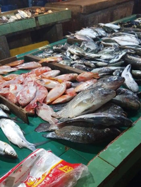 Gambar IKAN KEMBUNG BANJAR dari Beliikanonline Kota Bekasi 2 Tokopedia