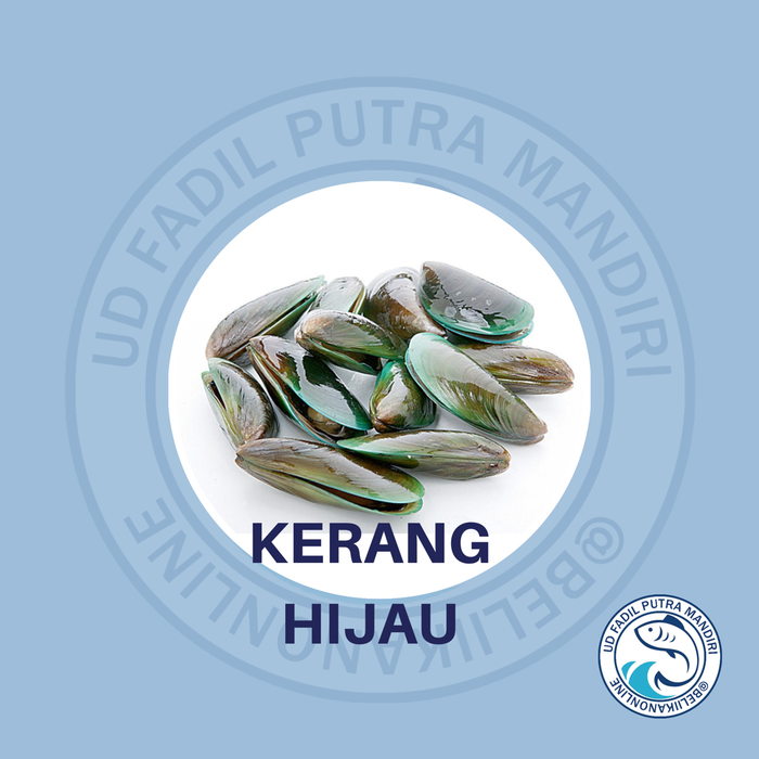 Gambar KERANG HIJAU dari Beliikanonline Kota Bekasi Tokopedia