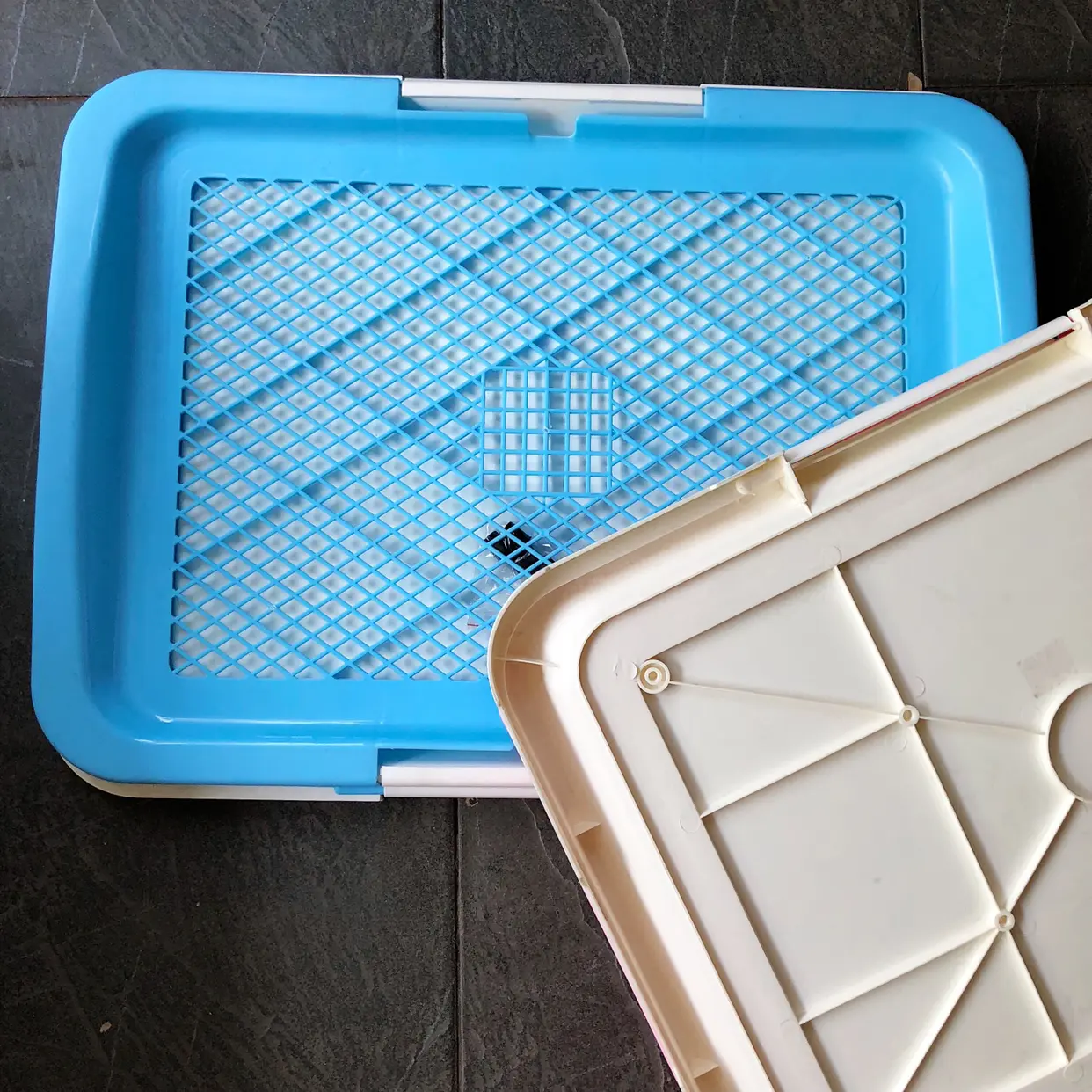 Toilet Training Tray For Pet 63x48cm (medium)