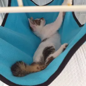 Hammock ayunan kucing rumah mainan tempat tidur kucing
