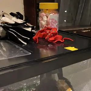 Harness H tali penuntun hewan Sugar Glider Landak Mini kelinci cincila