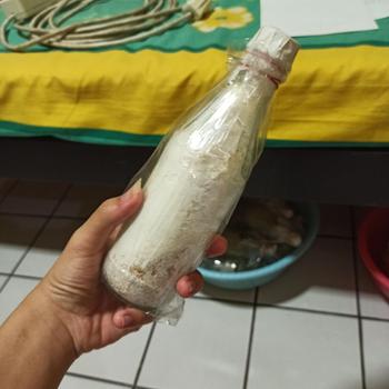 Product Review of Bibit jamur tiram coklat f1 from Tokopedia customer review 0
