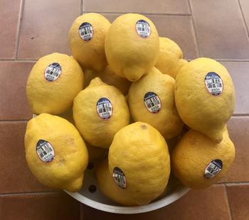Product Review of GROSIR TERMURAH 1kg Lemon California Buah Jeruk Lemon Super from Tokopedia customer review 1