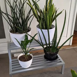 Rak pot tanaman susun 2 minimalis custom