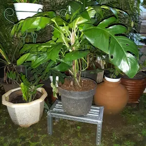 Rak Pot Bunga Minimalis - Rak Tanaman - Unik Baja Ringan 40cm