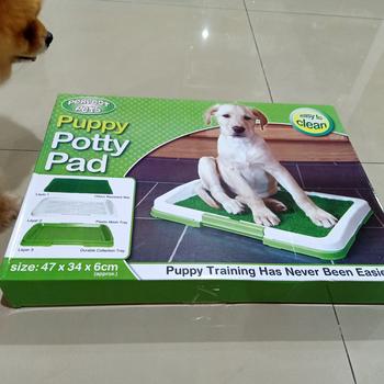 Product Review of Tatakan Poop Pee Potty Tray + Rumput - Pet Toilet Anjing Kucing Hewan from Tokopedia customer review 0