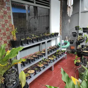 Rak pot bunga baja ringan susun 3 kokoh Ukuran 2M