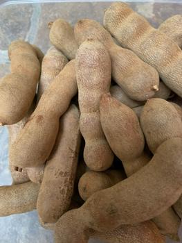 Product Review of Buah Asam Bangkok / Sweet Tamarind 500gr Manis Thailand Harga Grosir from Tokopedia customer review 0