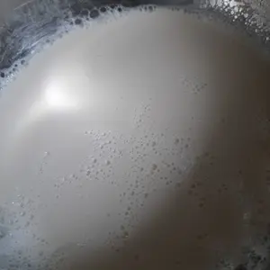 GLUCONO DELTA LACTONE / GDL ex. JAPAN FOOD GRADE || 100 GR