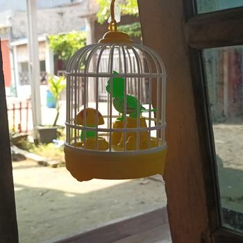 Product Review of Mainan Anak Burung Sangkar Voice Control Birdcage no FU 1138 from Tokopedia customer review 0