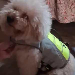 TRUELOVE Pet Swimming Life Jacket Safety Vest Dog Pelampung Anjing