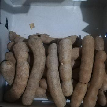 Product Review of Buah Asam Bangkok / Sweet Tamarind 500gr Manis Thailand Harga Grosir from Tokopedia customer review 0