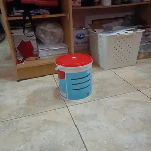 Cat Tembok Nippon Paint interior Qluc 4,5 kg ready