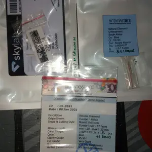 Blue Diamond 5 Pcs Natural Berlian Africa Asli VS-SI 1.2-1.3 mm