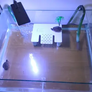 Nomoy Turtle Basking Dock Daratan Tempat Berjemur Kura Air Brazil