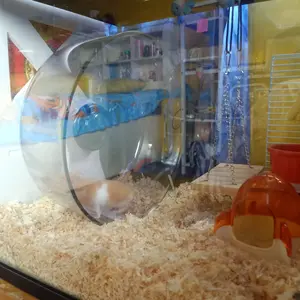 JOGGING WHEEL RUNNING WHEEL LANDAK MINI HAMSTER MARMUT DIAMETER 25cm