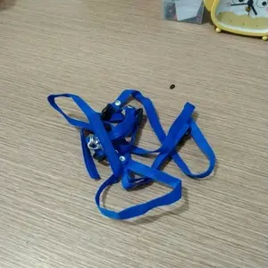 TALI SUGAR GLIDER TUPAI KADAL BAJING HARNESS TUNTUN