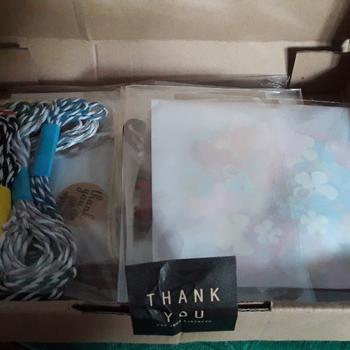 Product Review of kertas doily mini isi 4 hiasan doilie scrapbook from Tokopedia customer review 0