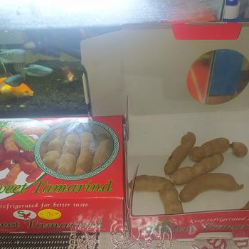Product Review of Buah Asam Bangkok / Sweet Tamarind 500gr Manis Thailand Harga Grosir from Tokopedia customer review 0