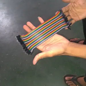 40-Pack Dupont Jumper Wires – 20cm, 2.54mm Male To Male – For Arduino Projects