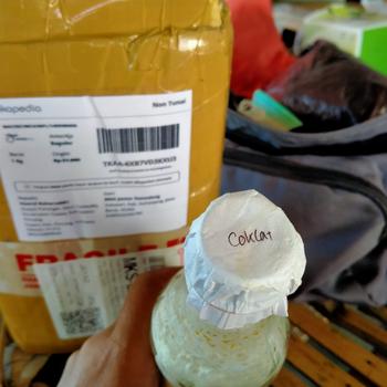 Product Review of Bibit jamur tiram coklat f1 from Tokopedia customer review 0