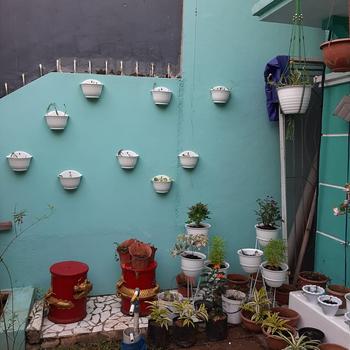 Product Review of KB SHALLOM Pot Tembok Dinding Bunga Tanaman Hias Putih ISABELLA 20 KB from Tokopedia customer review 0