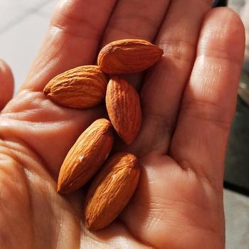 Product Review of Almond Roasted SUPER 1 Kg from Tokopedia customer review 2