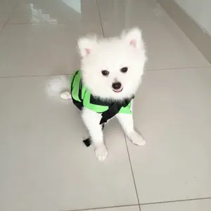 Dog Life Jacket vest harness Anjing Reflective Size M