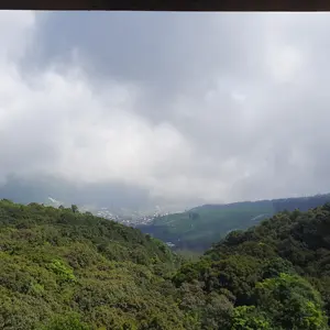 Infinix Hot 60i 8/256GB - Up to 16GB Extended RAM - Helio G81 - 6.7 inch 120Hz HD+ - 50MP - 5160 mAh - NFC