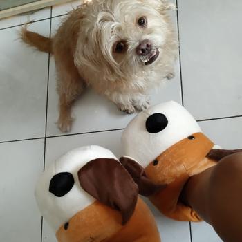 Product Review of SANDAL SEPATU KAMAR/INDOOR KARAKTER BONEKA SAPI COW HIPPO BULU HALUS from Tokopedia customer review 0