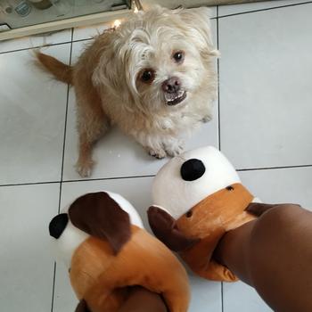 Product Review of SANDAL SEPATU KAMAR/INDOOR KARAKTER BONEKA SAPI COW HIPPO BULU HALUS from Tokopedia customer review 1