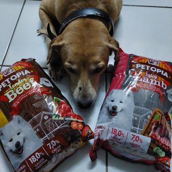 Product Review of PETOPIA  DOG DRY FOOD - 800GR - 1KG - MAKANAN ANJING from Tokopedia customer review 0