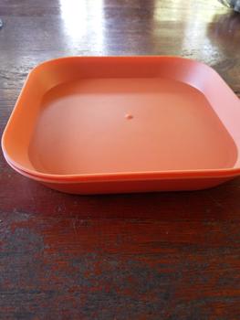 Product Review of PIRING PLASTIK MAKAN UNIK TEMPAT WADAH BUAH SAYURAN SNACK KUE SAJI SERBAGUNA MAKANAN | PIRING SNACK ISI 10 PCS from Tokopedia customer review 0