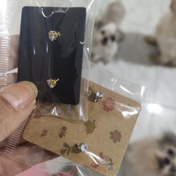 Product Review of Anting Tusuk Titanium Anti Karat Bulat Satu Mata Asli Wanita Silver from Tokopedia customer review 0