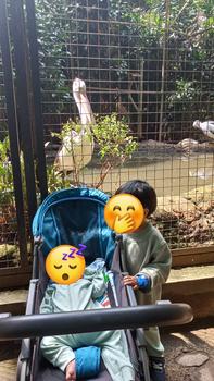 Product Review of SLEEPSUIT Nice Kids (baby sleepsuit 0-2 tahun) from Tokopedia customer review 0
