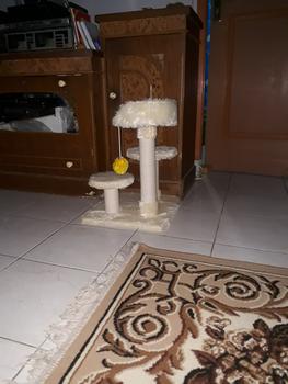 Product Review of MAINAN GARUKAN KUCING 3TIANG GARUKAN CAT TREE CONDO from Tokopedia customer review 0