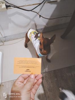 Product Review of Chicken Wings Whole Sayap ayam dog snack air dried jerky snack anjing from Tokopedia customer review 0