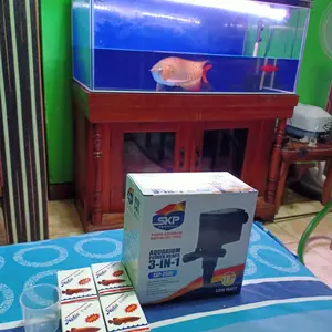 HOBIE FISHES ASLI ORIGINAL - MULTIVITAMIN PENAMBAH NAFSU MAKAN IKAN OBAT VITAMIN ARWANA PIL HOBIES