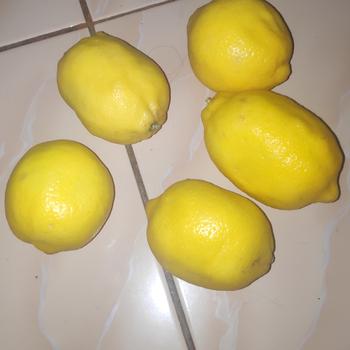 Product Review of GROSIR TERMURAH 1kg Lemon California Buah Jeruk Lemon Super from Tokopedia customer review 0