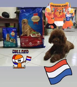 Product Review of SmartHeart Makanan Anjing Kering Dry Dog Food Small Breed Chicken & Liver Flavor 1.3 Kg from Tokopedia customer review 0