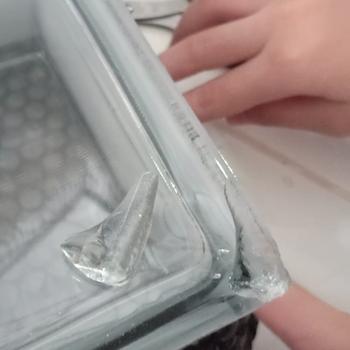 Product Review of Mulia - Glass Block / Gelas Blok Clear 95000 from Tokopedia customer review 0