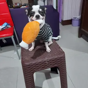 Boneka Mainan Gigitan Anjing Kucing Puppy/Dog Toy Squeaky Plush On