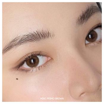 Product Review of Softlens Primo Brown | Kittykawaii [Mikhayloveshop] from Tokopedia customer review 1