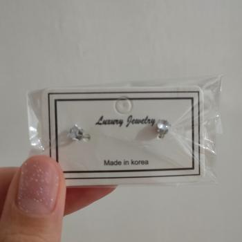 Product Review of Anting Tusuk Titanium Anti Karat Bulat Satu Mata Asli Wanita Silver from Tokopedia customer review 1
