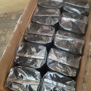 Product Review of Karbon Aktif 1kg / Activated Carbon / Media Filter Air / Karbon Aktif Aquarium / Penjernih Air / Media Filter Aquarium / Water Filter from Tokopedia customer review 1