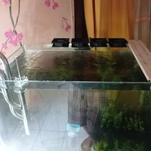 COOLING FAN KIPAS PENDINGIN AQUASCAPE AQUARIUM 4fan