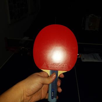 Product Review of Yinhe V14 PRO - ST - Blade Pingpong/Kayu Pingpong/Kayu Tenis Meja Bat Bet Tenis Meja from Tokopedia customer review 1